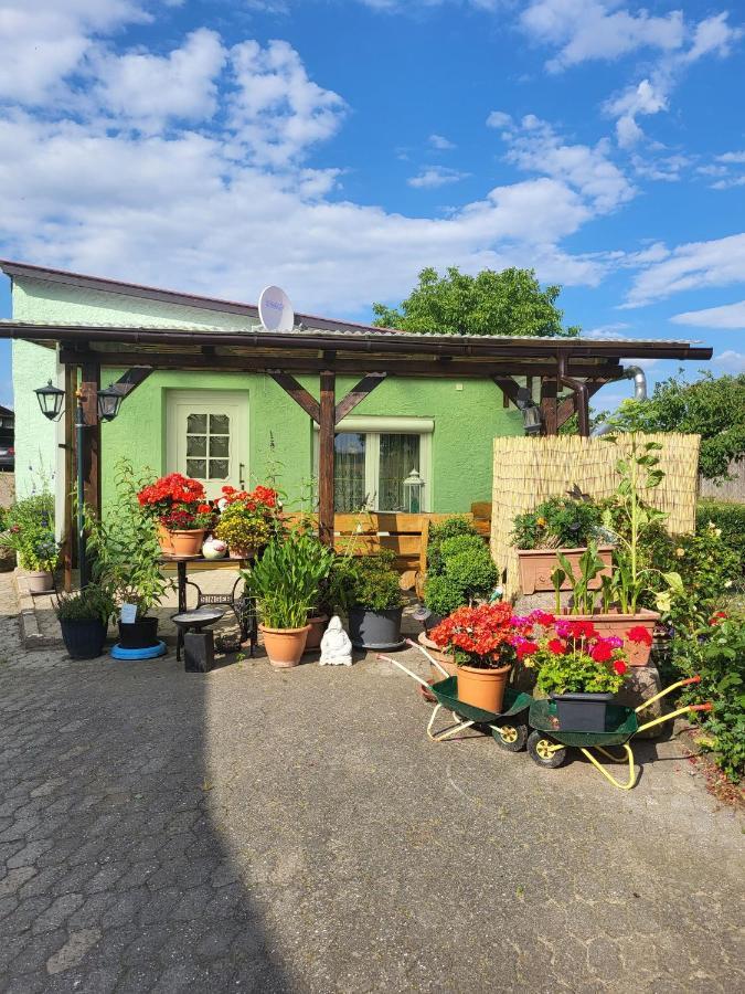 Ferienwohnung Bauerngarten Klein Vielen Exterior foto
